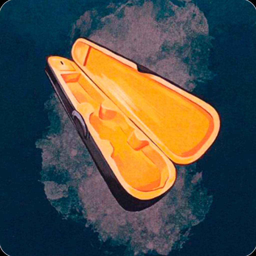 Violin case